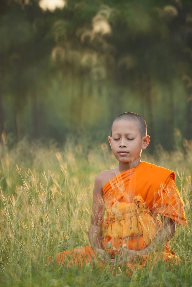 Yang Style Tai Chi Image